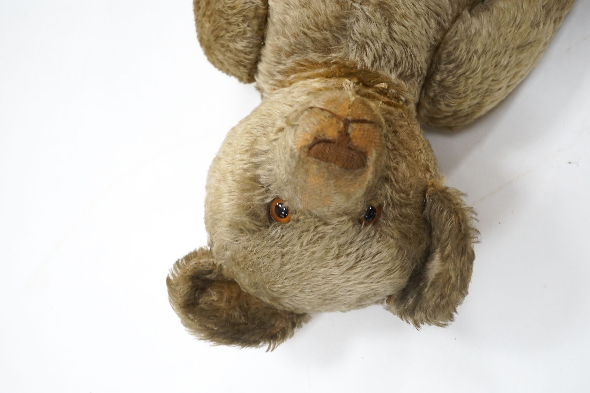 An early Farnell teddy bear, circa 1925